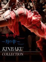 [18+]Kinbaku Flower(2016)