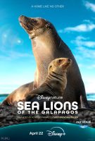 Sea Lions of the Galapagos (2025)