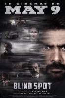 Blind Spot (2025)